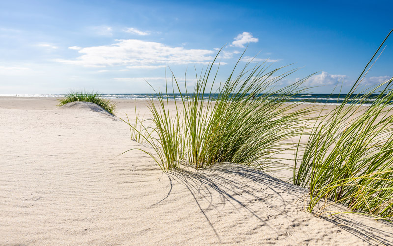 Ostseebad Prerow